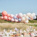 Ballongirlande DIY Set pastell blush