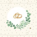 Hochzeitsservietten Ringe + Eukalyptus creme 20 Stk.
