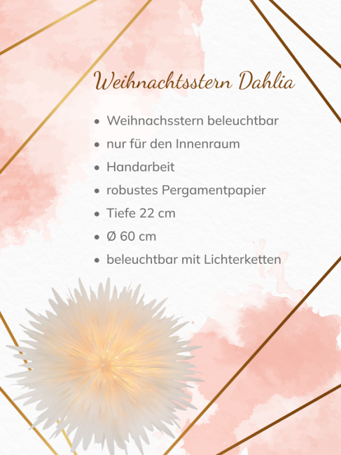 Weihnachtsstern Dahlia aus Pergamentpapier, Wei&szlig; &Oslash; 60cm, beleuchtbar